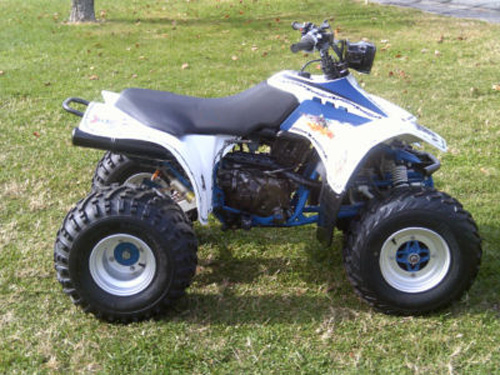 Suzuki QuadSport 250 LT250S LT 250S Manual