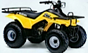 Thumbnail image for Suzuki QuadRunner LT160E LT-F160 LTF160 LT160 Manual