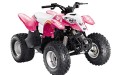 Thumbnail image for Polaris Predator 50 Manual