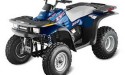 Thumbnail image for Polaris Xpress 300 Manual